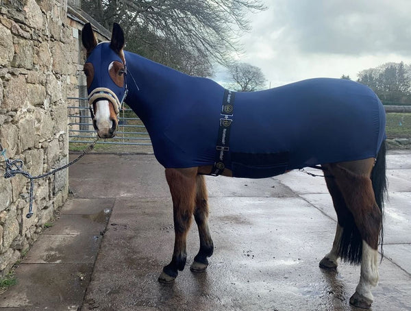 Horzebodz No Ears Navy-RUGS: Summer Rugs, Neck Rugs & Hoods-Ascot Saddlery