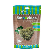Hygain Treat Horse Smoochie 250gm-STABLE: Horse Treats & Toys-Ascot Saddlery