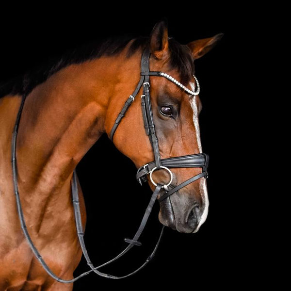 Abigail Black Italian Leather Bridle (No reins)