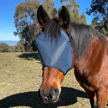 Flyveils By Design Budget Horse Fly Veil