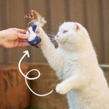 Kazoo Cat Toy Chirpy Bird-Cat Gyms & Toys-Ascot Saddlery