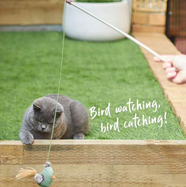 Kazoo Cat Toy Fantail Bird Wand-Cat Gyms & Toys-Ascot Saddlery