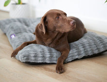 Kazoo Dog Bed Cloud Cushion Cool Grey Large-Dog Bedding-Ascot Saddlery