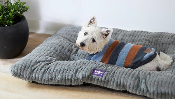 Kazoo Dog Bed Cloud Cushion Cool Grey Large-Dog Bedding-Ascot Saddlery