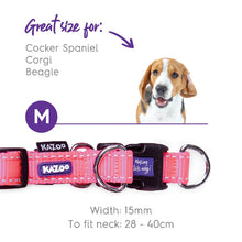 Kazoo Dog Collar Active Adjustable Bloom Burst-Dog Collars & Leads-Ascot Saddlery