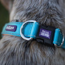 Kazoo Dog Collar Active Adjustable Ocean Sunrise-Dog Collars & Leads-Ascot Saddlery