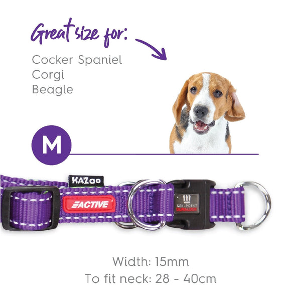 Kazoo Dog Collar Active Adjustable Purple & Lime-Dog Collars & Leads-Ascot Saddlery
