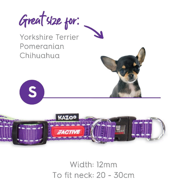 Kazoo Dog Collar Active Adjustable Purple & Lime-Dog Collars & Leads-Ascot Saddlery