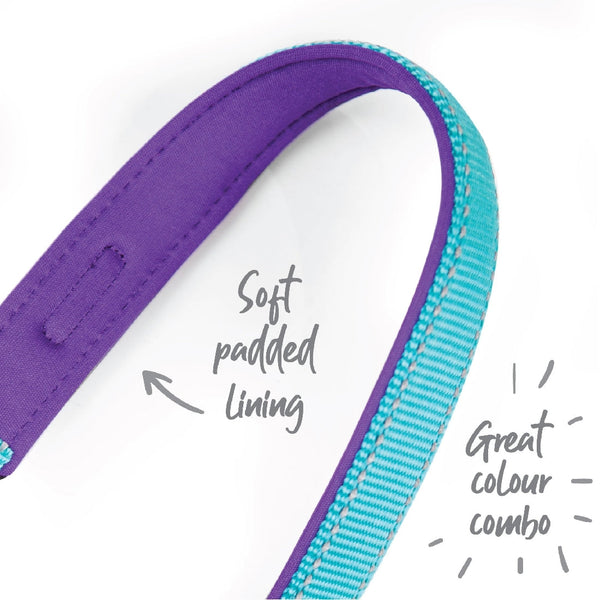 Kazoo Dog Collar Active Aqua & Purple-Dog Collars & Leads-Ascot Saddlery
