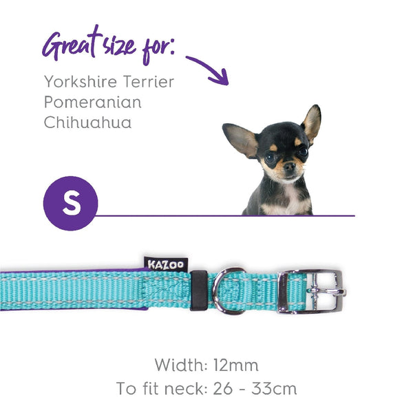 Kazoo Dog Collar Active Aqua & Purple-Dog Collars & Leads-Ascot Saddlery