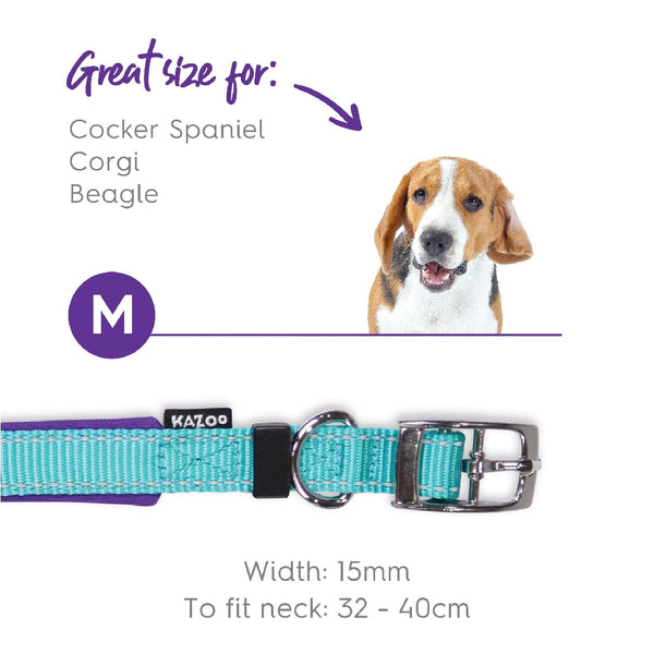 Kazoo Dog Collar Active Aqua & Purple-Dog Collars & Leads-Ascot Saddlery