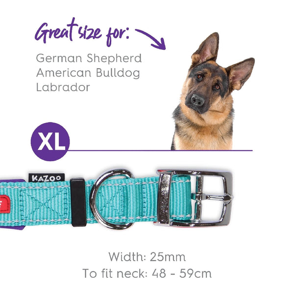 Kazoo Dog Collar Active Aqua & Purple-Dog Collars & Leads-Ascot Saddlery