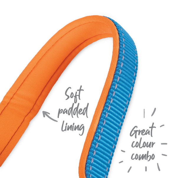 Kazoo Dog Collar Active Ocean Sunrise-Dog Collars & Leads-Ascot Saddlery