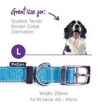 Kazoo Dog Collar Active Ocean Sunrise-Dog Collars & Leads-Ascot Saddlery