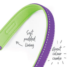 Kazoo Dog Collar Active Purple & Lime-Dog Collars & Leads-Ascot Saddlery