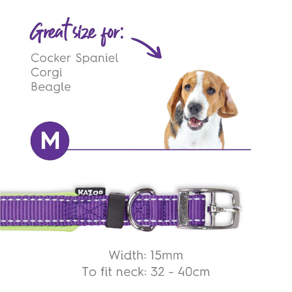 Kazoo Dog Collar Active Purple & Lime-Dog Collars & Leads-Ascot Saddlery
