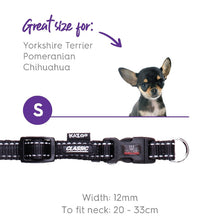 Kazoo Dog Collar Classic Adjustable Black-Dog Collars & Leads-Ascot Saddlery