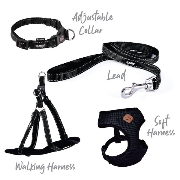 Kazoo Dog Collar Classic Adjustable Black-Dog Collars & Leads-Ascot Saddlery