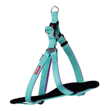 Kazoo Dog Harness Active Aqua & Purple-Dog Collars & Leads-Ascot Saddlery