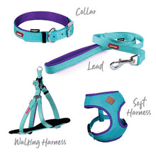 Kazoo Dog Leash Active Aqua & Purple 1800mm-Dog Collars & Leads-Ascot Saddlery