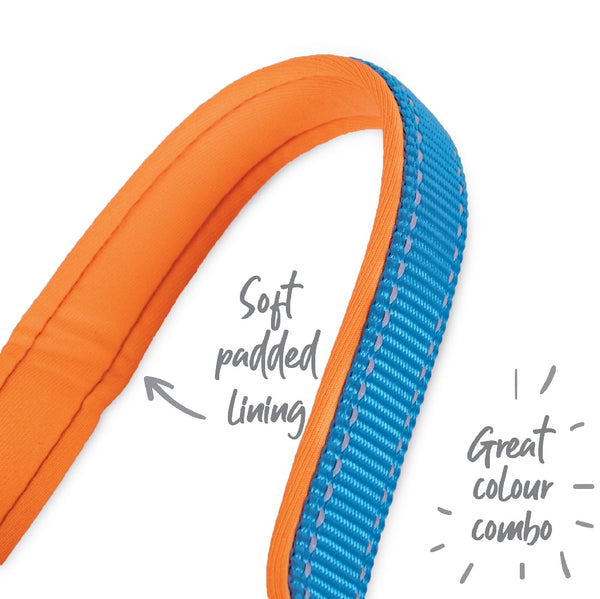 Kazoo Dog Leash Active Ocean Sunrise 1800mm-Dog Collars & Leads-Ascot Saddlery