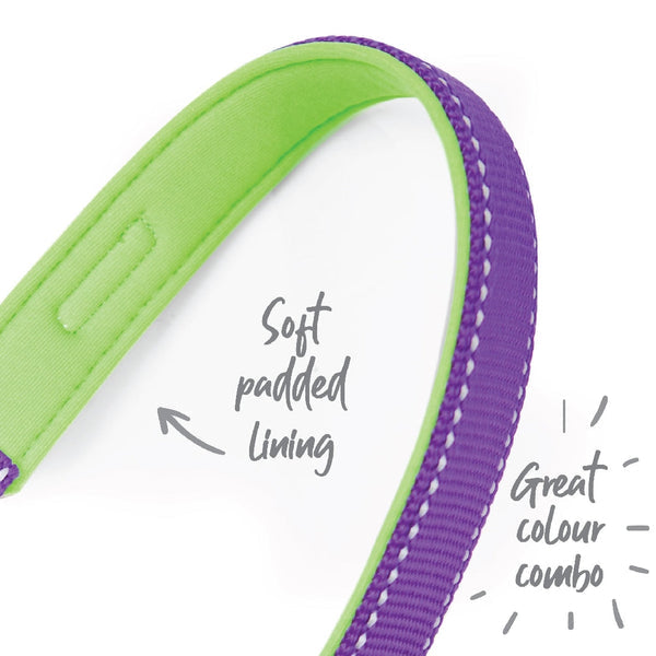 Kazoo Dog Leash Active Purple & Lime 1200mm-Dog Collars & Leads-Ascot Saddlery
