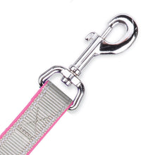 Kazoo Dog Leash Active Silver & Pink 1800mm-Dog Collars & Leads-Ascot Saddlery