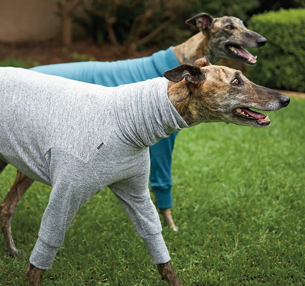 Kazoo Dog Rug Greyhound Softie Grey-Dog Rugs & Fashion-Ascot Saddlery