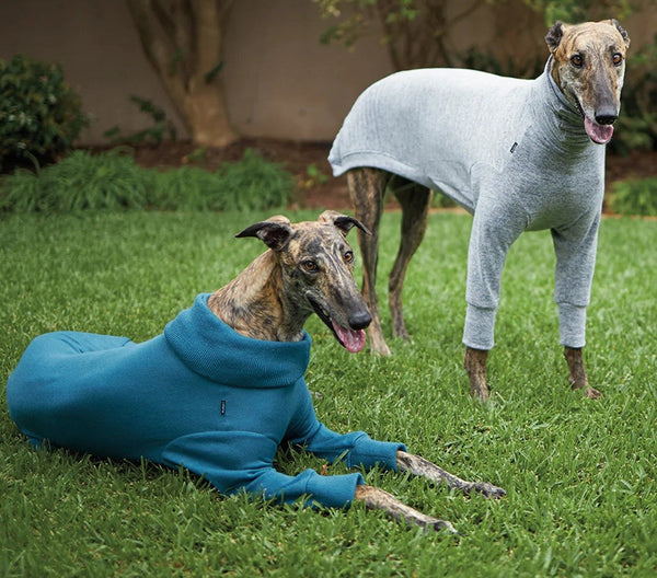 Kazoo Dog Rug Greyhound Softie Grey-Dog Rugs & Fashion-Ascot Saddlery