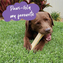 Kazoo Treat Rawhide Pressed Bone 11cm Pack Of 6-Dog Treats-Ascot Saddlery