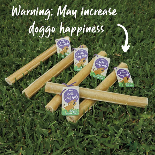 Kazoo Treat Rawhide Pressed Stick 12cm Pack Of 12-Dog Treats-Ascot Saddlery