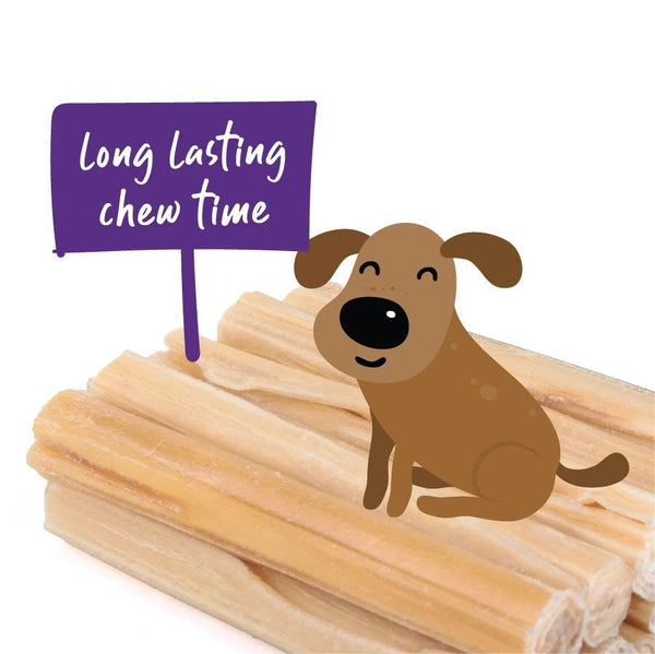 Kazoo Treat Rawhide Pressed Stick 20cm Pack Of 10-Dog Treats-Ascot Saddlery