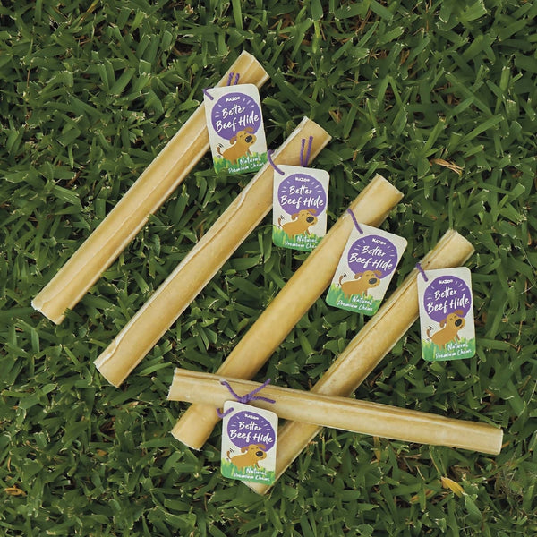 Kazoo Treat Rawhide Pressed Stick 20cm Pack Of 10-Dog Treats-Ascot Saddlery