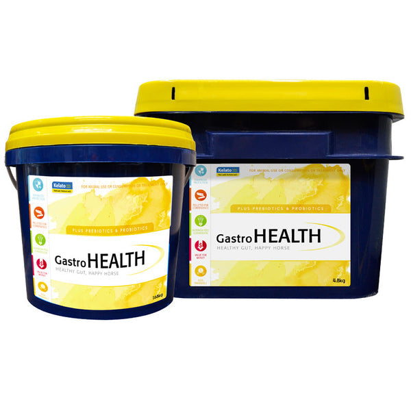 Kelato Gastro Aid Everyday 1.68kg-STABLE: Supplements-Ascot Saddlery