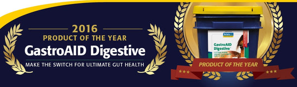 Kelato Gastro Aid Recovery 5.2kg-STABLE: Supplements-Ascot Saddlery