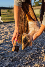 GeeGee COLLECTIVE | Premium Grooming Kit