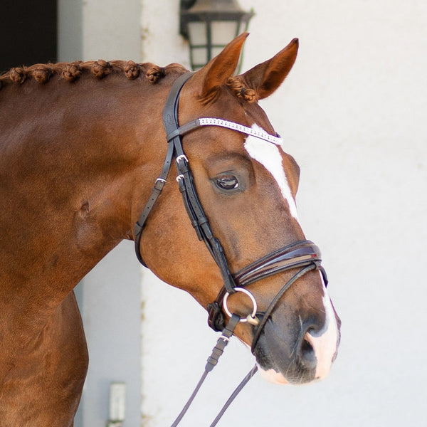 Amie Rolled Italian Leather Bridle (Hanoverian) (No reins)