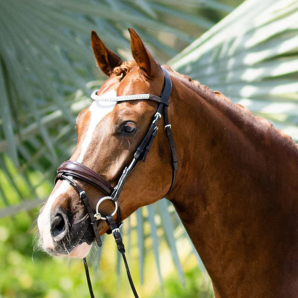 Amie Rolled Italian Leather Bridle (Hanoverian) (No reins)