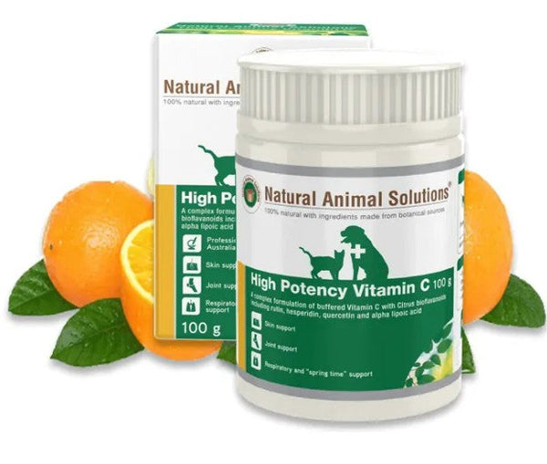 Natural Animal Solutions Hp Vitamin C 100gm-Dog Potions & Lotions-Ascot Saddlery