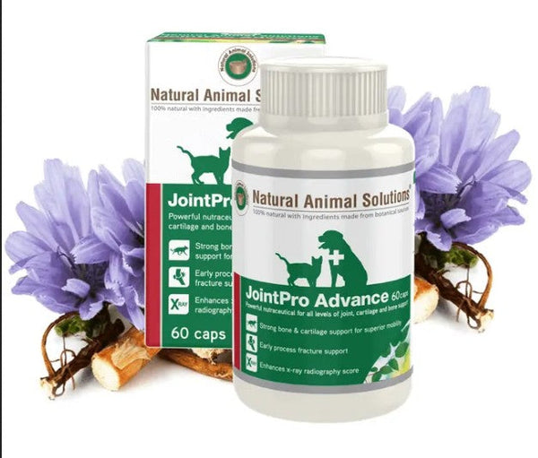Natural Animal Solutions Jointpro Advance 60 Caps-Dog Potions & Lotions-Ascot Saddlery