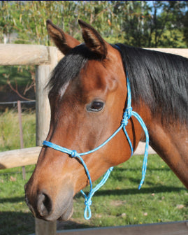 Nungar Headstall Knotted 6mm Black-HORSE: Headstalls-Ascot Saddlery