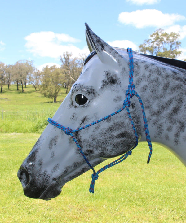 Nungar Headstall Knotted 6mm Blue & Red Fleck-HORSE: Headstalls-Ascot Saddlery