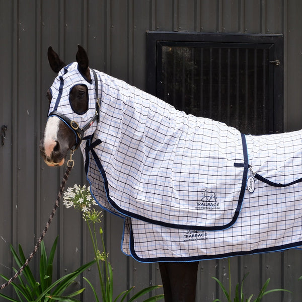 Check Collar Show Rug, Hood, and Tail Bag Set
