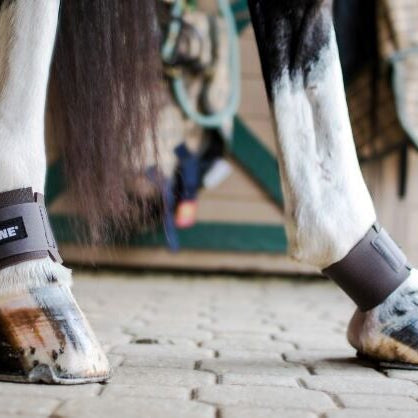 ThinLine Pastern Wraps