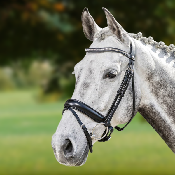 Prestige E134 Sport Window Dressage Bridle Black Full