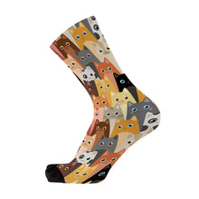 Herding Cats Sox