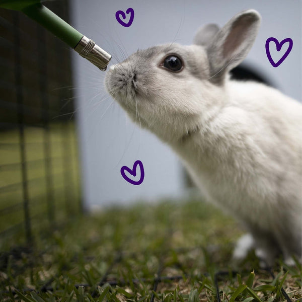 Rabbit Drink Bottle 500ml Kazoo-Small Animal-Ascot Saddlery