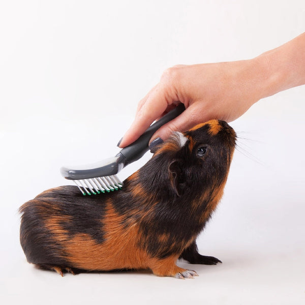 Rabbit Groom Kazoo Brush Slicker-Small Animal-Ascot Saddlery