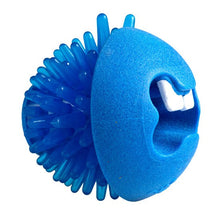 Rogz Dog Toy Fred Treat Ball Blue-Dog Toys-Ascot Saddlery
