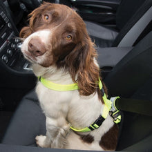Rogz Safety Belt Clip Fluro-Dog Accessories-Ascot Saddlery
